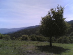 04012007(002)