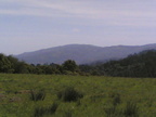 Multimedia message