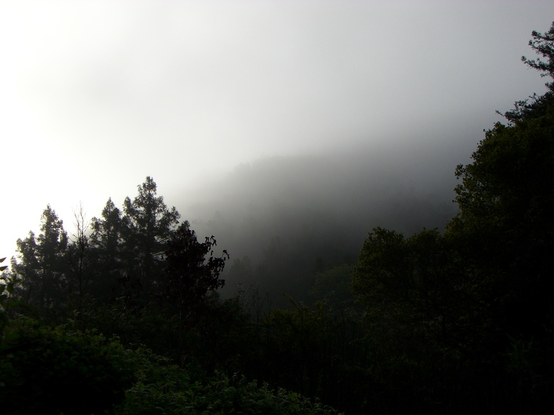 flickr-422499889.jpg