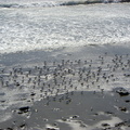 CIMG0235