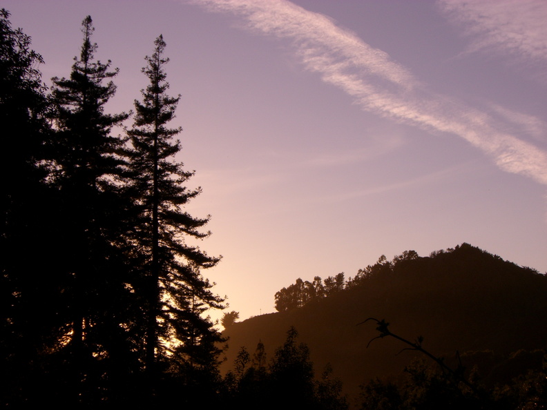 flickr-422498070.jpg