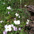 CIMG0192