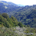 CIMG0185