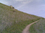 Multimedia message