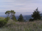 Multimedia message