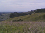 Multimedia message