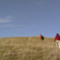 Multimedia message