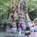 Multimedia message