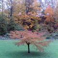 10222006(030)