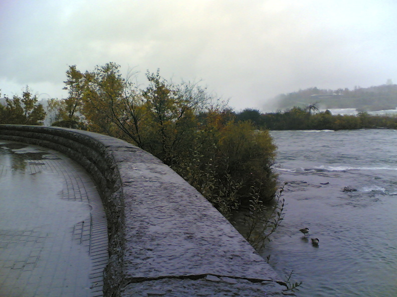 flickr-278534196.jpg