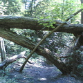 Multimedia message