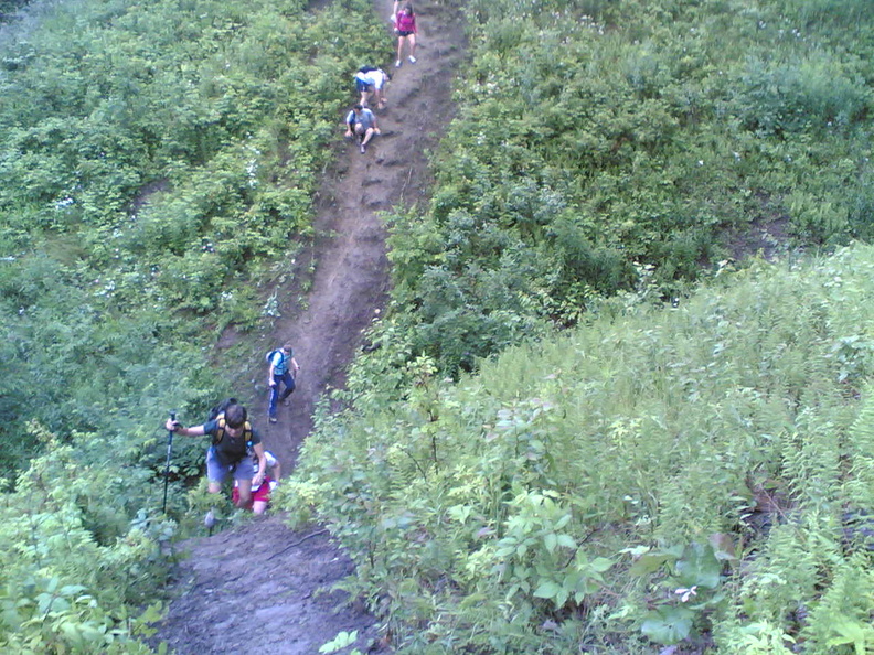 flickr-174945637.jpg