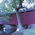 roddy creek