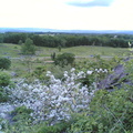 Multimedia message