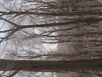 laurel ridge