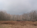 laurel highlands