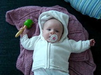 Ada rattle