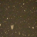 Ada snow