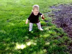 Ada walk in the park