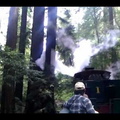 Ada train ride through the redwoods (stabilized)