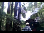 Ada train ride through the redwoods (stabilized)