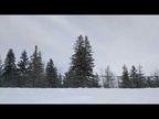 Sledding in the Capulin snow play area
