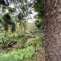 IMG 0393