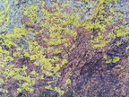 IMG 20200502 121343~2
