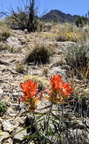 IMG 20200502 115849~2