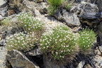 IMG 20200502 112836~2