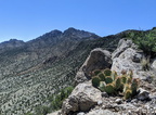 IMG 20200502 111636~2