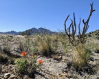 IMG 20200502 102011~2