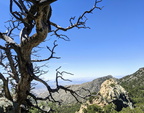 IMG 20200504 115300~2