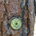 IMG 20200516 121240