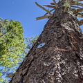 IMG 20200516 123024