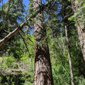 IMG 20200516 105256