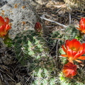 IMG 20200519 152904~2