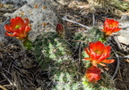 IMG 20200519 152904~2