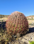 IMG 20200520 181250~2