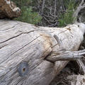 IMG 20200519 151529