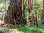 IMG 20200725 113030~2