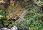 IMG 20200725 120530~2