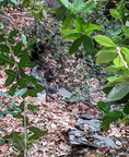 IMG 20201008 132606~2