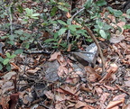 IMG 20201008 132329~2