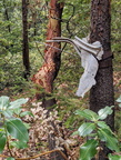 IMG 20201008 132200~2