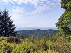 IMG 20201008 125735~2