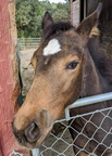 IMG 20201010 182059~2