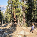 IMG 20201017 123310~2