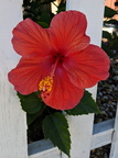 IMG 20201022 133613~2