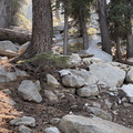 IMG 1457